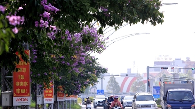 Hac Thanh bertujuan menjadi distrik model Thanh Hoa