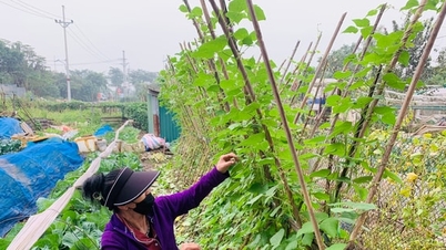আবেগগত চাষাবাদের অভ্যাস থেকে বিপুল অপচয়