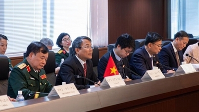 वियतनाम और जापान के बीच उप-मंत्रिस्तरीय स्तर पर पहली 2+2 कूटनीति - रक्षा वार्ता