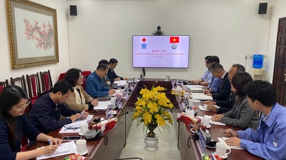 ຄະ​ນະ​ຜູ້​ແທນ​ເຮັດ​ວຽກ​ຂອງ​ອົງ​ການ​ລັດ​ວິ​ສາ​ຫະ​ກິດ, ລັດ​ຖະ​ບານ​ແຂວງ Kanagawa, ຍີ່​ປຸ່ນ ໄດ້​ເຮັດ​ວຽກ​ກັບ​ບັນ​ດາ​ອົງ​ການ, ວິ​ສາ​ຫະ​ກິດ​ແຂວງ Lang Son, ຫວຽດ​ນາມ.