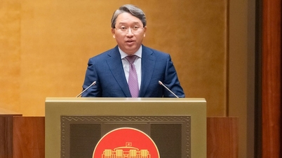 من خلال قانون الخبرة القضائية (المعدل)