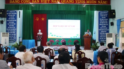 डोंग थाप में सजावटी पौधों की अर्थव्यवस्था के विकास को बढ़ावा देना