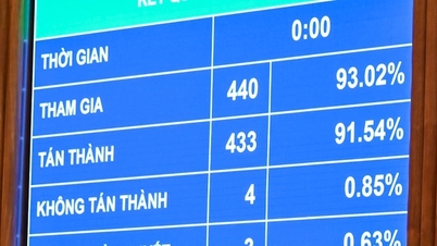 دیوانی فیصلے کے نفاذ کے قانون کے ذریعے (ترمیم شدہ)