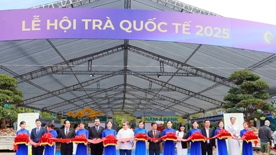 Muitas atividades importantes antes da abertura do World TEA Fest 2025.