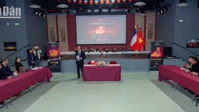 Содействие сотрудничеству и инвестициям в кинематограф Вьетнама и Франции