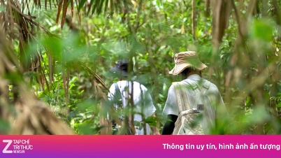 Die Gefahren von Gruppenwanderungen und der Suche nach Fremden als Begleiter