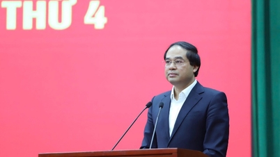 It is necessary to make the most of the potential and competitive advantages of each region for development.