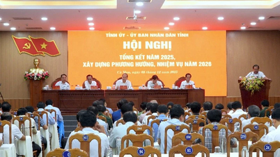 A Ca Mau kétszámjegyű növekedésre törekszik 2026-ra