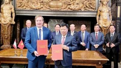 हाई फोंग ने बेल्जियम के साझेदारों के साथ संपर्क को बढ़ावा दिया और निवेश सहयोग का विस्तार किया