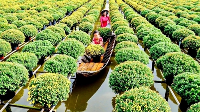 Sa Dec Flower and Ornamental Festival 2025: Honoring the century-old flower village, creating a tourism boost