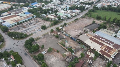 Sebagian besar bisnis berjanji untuk pindah dari Kawasan Industri Bien Hoa 1
