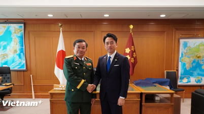 В'єтнам і Японія продовжують розвивати широку оборонну співпрацю.