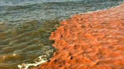 Ca Mau سمندر پر عجیب دو رنگ پانی کا رجحان ظاہر ہوتا ہے
