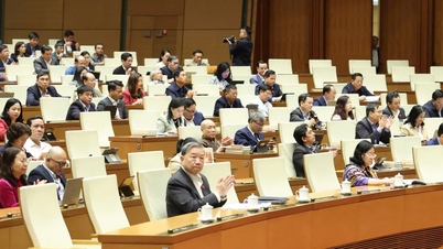 A Assembleia Nacional aprovou duas leis sobre antecedentes criminais e perícia judicial.