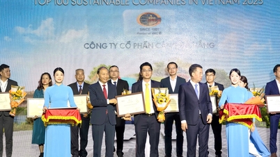 ท่าเรือดานัง – รักษาตำแหน่งใน 100 วิสาหกิจยั่งยืน (CSI) เป็นเวลา 9 ปีติดต่อกัน