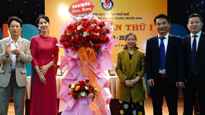 Solidarity and innovation in a term of many marks