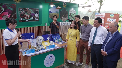 सांस्कृतिक संरक्षण से जुड़े ग्रामीण पर्यटन का विकास