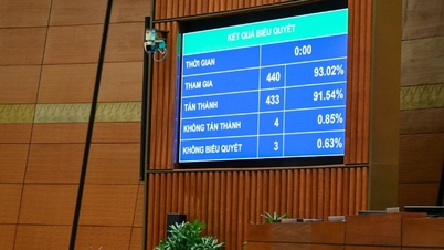 למנהל עיזבון יש את הזכות לבקש מהרשות המוסמכת להקפיא נכסים כדי למנוע פיזור.