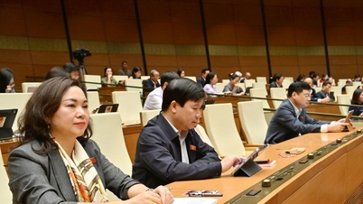 برای تعیین مناسب‌ترین سطح سرمایه بودجه محلی، بررسی و تعادل برقرار خواهد کرد.