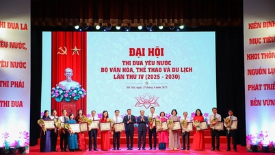 Emulering og belønning i kultur-, idretts- og turismesektoren: En viktig rolle i å fremme utviklingen av sektoren