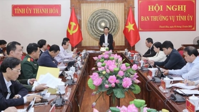 بلغت إيرادات ميزانية مقاطعة ثانه هوا ما يقرب من 55 تريليون دونج