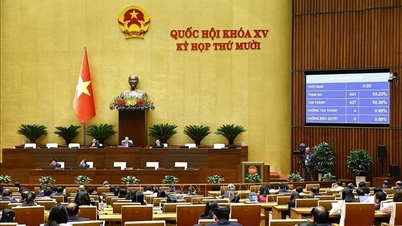 טרנספורמציה דיגיטלית בהנפקת רישומים פליליים