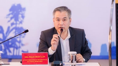 Vietnam alakítja az élelmiszerbiztonsági prioritásokat a 2026-2030-as időszakra