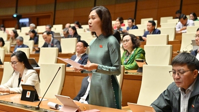 المندوبة براو "تقدم نصائح" بشأن الحد من الفقر المستدام للأقليات العرقية