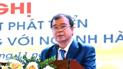 هاي فونج تسعى لفتح المزيد من الرحلات الجوية وحل الصعوبات التي تواجه السياحة