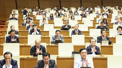 Пока не предоставил Управлению по исполнению гражданских судебных решений полные полномочия по исполнению судебных решений