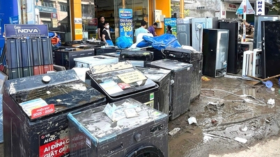 Hồ Lòng Sông xả lũ chưa từng có: Nhiều tài sản của người dân Liên Hương theo nước lũ ra đi