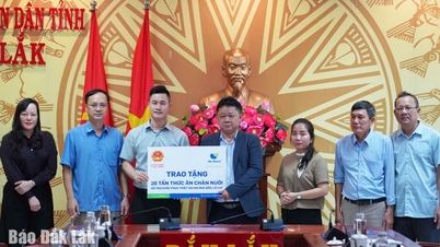 សហគ្រាសបរិច្ចាគសត្វចិញ្ចឹម និងចំណីសត្វ ដើម្បីជួយកសិករ Dak Lak ស្តារផលិតកម្មឡើងវិញ