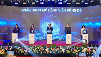 Lansering av Tissue Bank, som förbättrar kvaliteten på ögonvård