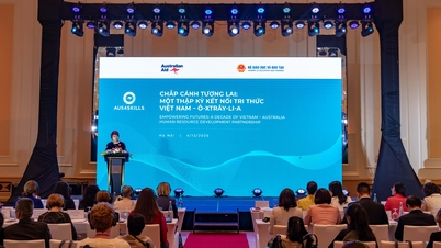 수천 명의 직원과 강사의 역량이 Aus4Skill 프로그램을 통해 향상되었습니다.