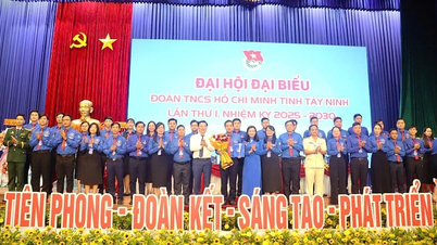 เยาวชนเตยนิญ "ผู้บุกเบิก-สามัคคี-ความคิดสร้างสรรค์-การพัฒนา"