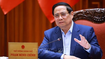 التكيف المرن والفعال مع تغير المناخ في دلتا ميكونج في اتجاه الطبيعة