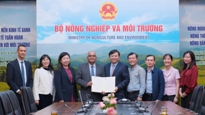 ​ໄດ້​ຮັບ​ເງິນ 2 ລ້ານ USD ຈາກ ADB ​ເພື່ອ​ດຳ​ເນີນ​ທຸລະ​ກິດ​ຕາ​ແສງ Quang Trung