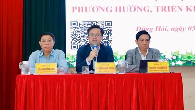 डोंग हाई बजट राजस्व अनुमान से कहीं अधिक