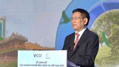 उप-प्रधानमंत्री ने व्यवसायों को 'मीठे फल' प्राप्त करने और वैश्विक बाज़ार में गति पैदा करने के तरीके सुझाए