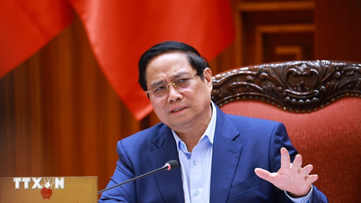 Tilpasning til klimaendringer i Mekongdeltaet i naturlig retning