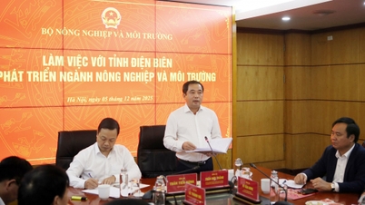 رفع «گلوگاه‌ها»، گشودن مسیرهای توسعه برای Dien Bien