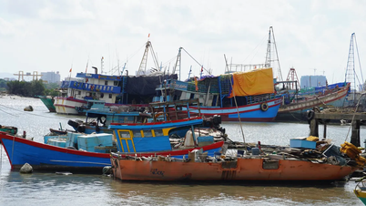 ホーチミン市、海上、河川、捜索救助の安全確保計画を発表