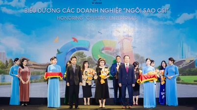 Firma PNJ została uhonorowana nagrodą CSI Star za działania na rzecz zrównoważonego rozwoju.