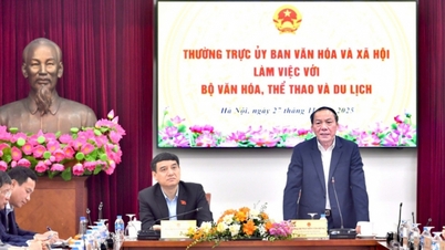 O número de visitantes internacionais previsto para o Vietnã em 2025 supera em muito o recorde pré-pandemia.