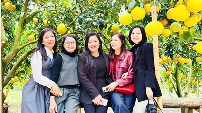 Khảo sát giới thiệu điểm du lịch cộng đồng, vùng cây ăn quả tại Bắc Ninh