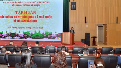 ពង្រឹងចំណេះដឹងផ្នែកគ្រប់គ្រងបេតិកភណ្ឌវប្បធម៌សម្រាប់សិស្សជាង ៣០០នាក់។