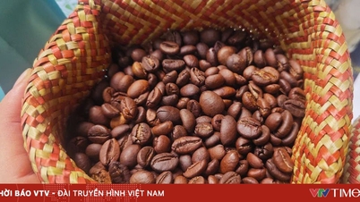 តម្លៃកាហ្វេងើបឡើងវិញយ៉ាងខ្លាំង