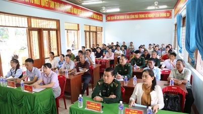 المعلومات الأجنبية، دعاية سيادة الحدود في بلدية إيا بونغ