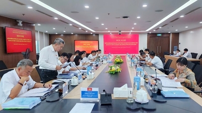 Партійний комітет EVNHCMC: Удосконалення роботи з розбудови та виправлення партії та політичної системи