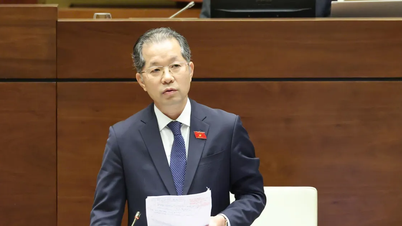 Tán thành cao có Thẩm phán Tòa án chuyên biệt là người nước ngoài